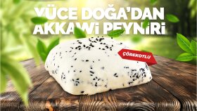 profesyonel sosyal medya tasarımları yapıyorum