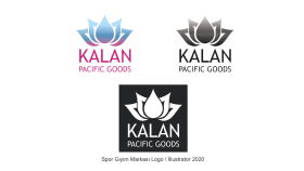 profesyonel ve özgün logo tasarımı yapabilirim