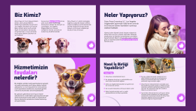 Hizmet Sektörü Katalog - Sunum Tasarımı