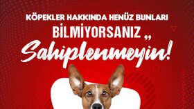 Petgross sosyal medya yönetimi