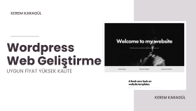 profesyonel bir website oluşturabilirim