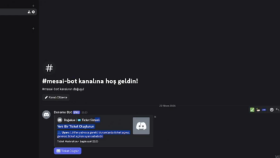 istekleriniz doğrultusunda gelişmiş Discord botları kodlarım