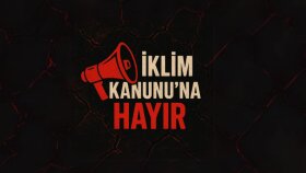 sosyal medya platformlarına görsel içerik tasarlayabilirim