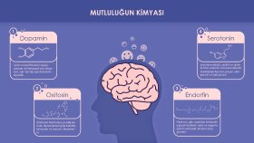 İnfografik