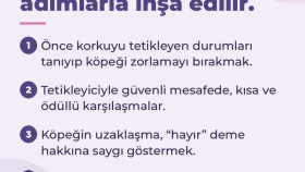 Instagram Carousel Tasarımı