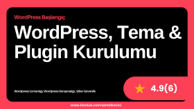 temanızın ve wordpress sitenizin kurulumunu yapabilirim