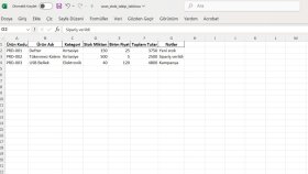 Excel işlerinizi hızlıca halletmenize yardımcı olurum