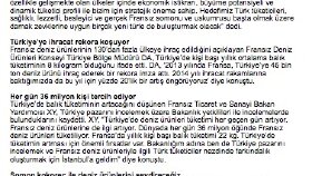 Örnek Ekonomi Bülteni