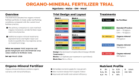 infografik (veri sunan) grafik sunumlar hazırlayabilirim