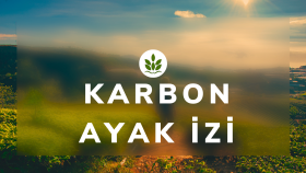 🌟 Göz Alıcı & Kurumsal Sunum Tasarımı