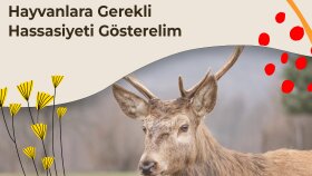 Sosyal Medya Post