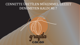 Grafita Broşür