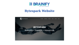 Web Site