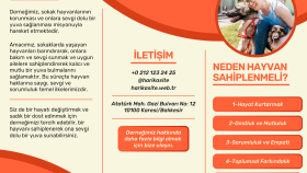 El İlanı-Broşür Tasarımı