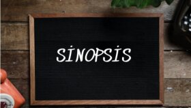 Sinopsis Çevirisi