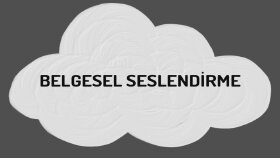 Belgesel seslendirmenin tam zamanı