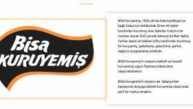 web siteniz için SEO uyumlu içerikler yazabilirim