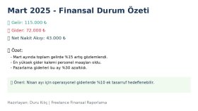 Aylık Finansal Durum Raporu Örneği