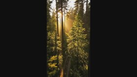 Çorap markası için ürün yerleştirmeli AI reklam filmi