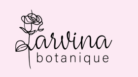 Konsept Logo Tasarımı