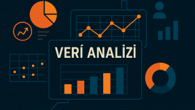 Bugüne kadar Veri Bilimi/Veri Analizi hakkında yaptıklarım