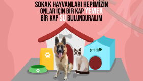 Sokak hayvanları için afiş