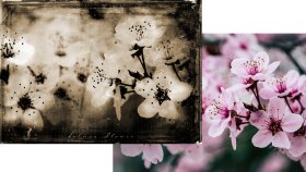 Daguerreotype Effect