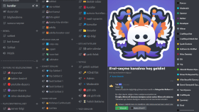 Discord Sunucu Örnekleri