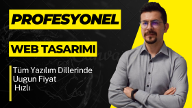 profesyonel websitesi tasarlıyorum