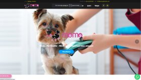 Pet Kuaför Web Sitesi Tasarımı