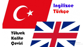 İngilizce çeviri yaparım