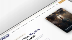 nizamettinsincar.com — Nizamettin Sincar