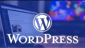 Wordpress sisteminizdeki hataları giderebilirim