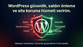 WordPress güvenlik ve saldırı önleme yaparım