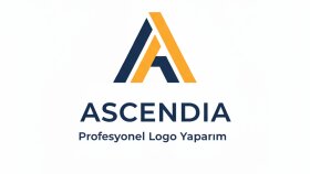 sizin için profesyonel ve kaliteli logo yapabilirim