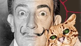 Salvador Dali - Renklendirme