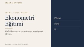 online canlı ekonometri eğitimi veririm