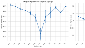 veri setlerini metodolojik olarak analiz ederim