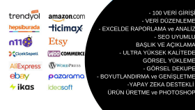 yapay zekayla excel analizi, sitelere ürün girişi yapıyorum