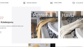 anahtar teslim websitesi yaparım