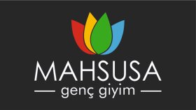 profesyonel logo tasarımı yaparım