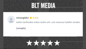 Profesyonel Çeviri Hizmetleri