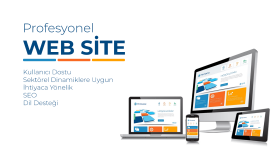 profesyonel web site tasarlarım