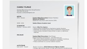 sizin için profesyonel bir cv hazırlayabilirim