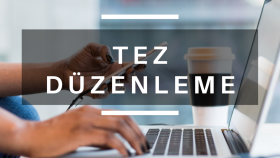 tez düzenleme işinizi profesyonel bir şekilde yaparım