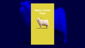 Ankara Prodüksiyon - Story Reklam Videosu
