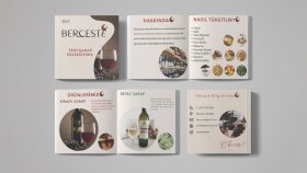 broşür& katalog tasarlıyorum