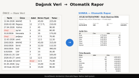 ham verilerinizi otomatik rapor haline getiriyorum