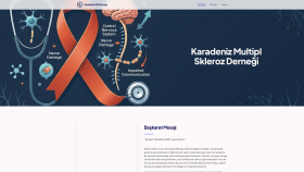 size özel kodlanmış profesyonel web sitesi yaparım