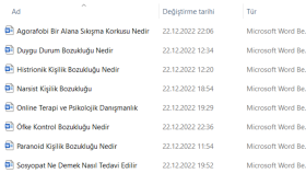 Örnekler
